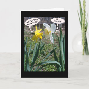 Gossiping Daffies Vriendschap Wenskaart Kaart