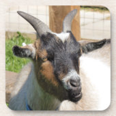 GOT BIER ONDERZETTER (Voorkant)