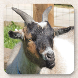 GOT BIER ONDERZETTER