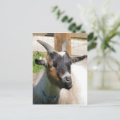 GOT BRIEFKAART (Staand voorkant)