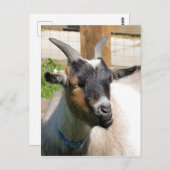 GOT BRIEFKAART (Voorkant / Achterkant)