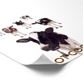 GOT COOKIES? POSTER (Hoek)