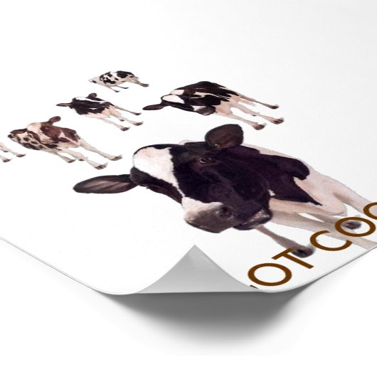 GOT COOKIES? POSTER (Hoek)