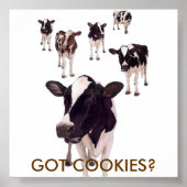 GOT COOKIES? POSTER (Voorkant)
