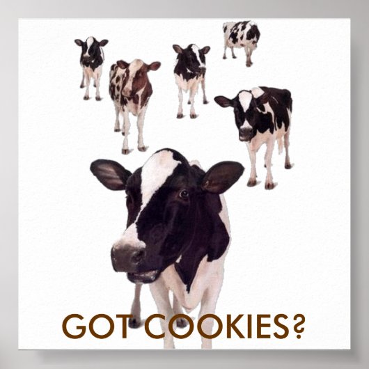 GOT COOKIES? POSTER (Voorkant)