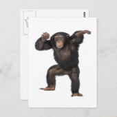 GOT DAT GEVOEL. BRIEFKAART (Voorkant / Achterkant)