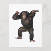 GOT DAT GEVOEL. BRIEFKAART (Voorkant)