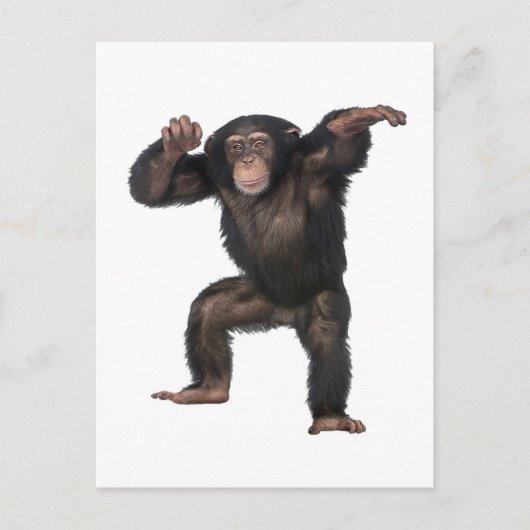 GOT DAT GEVOEL. BRIEFKAART (Voorkant)