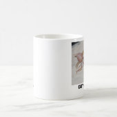 GOT GECKOS? KOFFIEMOK (Center)