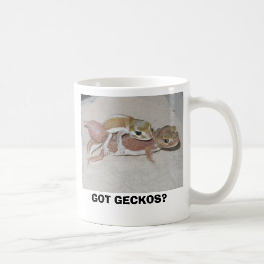 GOT GECKOS? KOFFIEMOK (Rechts)