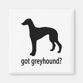 Got Greyhound Magneet