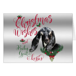 GOT | kerstwijn Baby geit Kisses Nubian