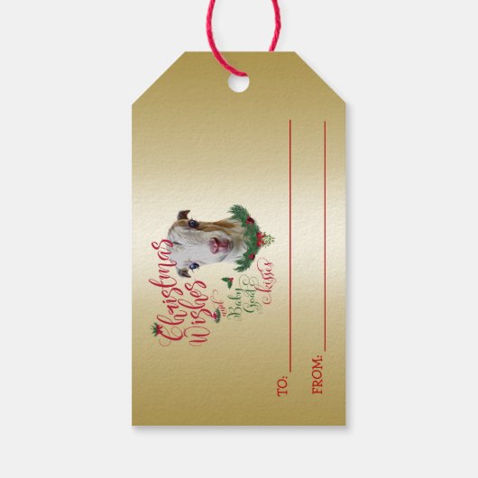 GOT | kerstwijn Baby Goat Kisses LaMancha Cadeaulabel (Achterkant)