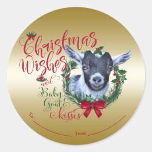 GOT   kerstwijn Baby Goat Kisses Pygmy Ronde Sticker