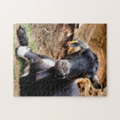 GOT LEGPUZZEL (Horizontaal)