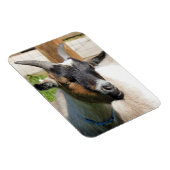 GOT MAGNEET (Rechterzijde)