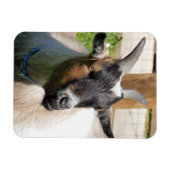 GOT MAGNEET (Horizontaal)