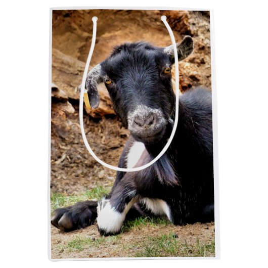 GOT MEDIUM CADEAUZAKJE (Voorkant)