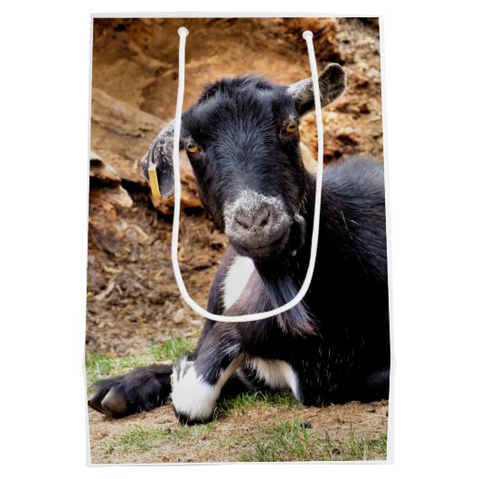 GOT MEDIUM CADEAUZAKJE (Achterkant)