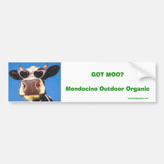 GOT MOO? Mendocino Outdoor Organic Bumpersticker (Voorkant)