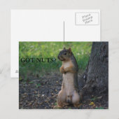 GOT NUTS? BRIEFKAART (Voorkant / Achterkant)