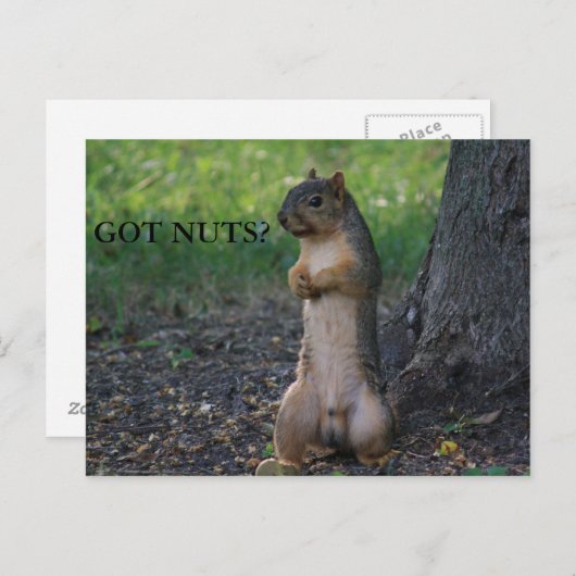 GOT NUTS? BRIEFKAART (Voorkant / Achterkant)