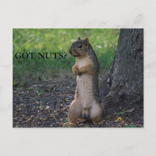 GOT NUTS? BRIEFKAART (Voorkant)