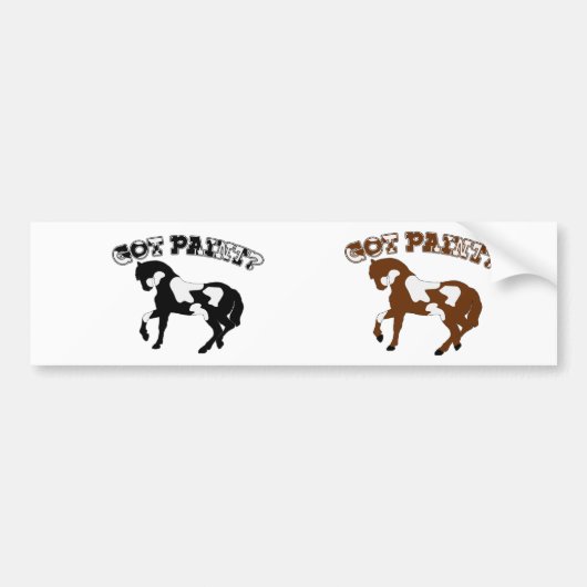 GOT PAINT? PAINT HORSES! BUMPERSTICKER (Voorkant)