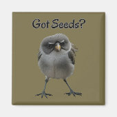 Got Seeds Magneet (Voorkant)