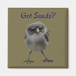 Got Seeds Magneet
