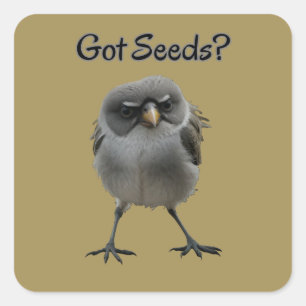 Got Seeds Vierkante Sticker