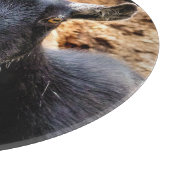 GOT SNIJPLANK (Hoek)