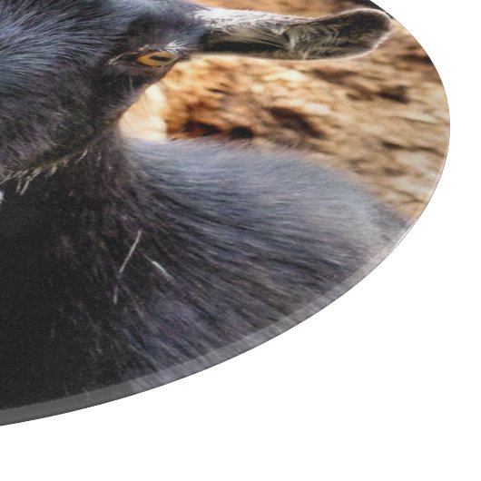 GOT SNIJPLANK (Hoek)