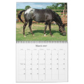 GOT SPOTS? BEROEP 2011 KALENDER (Mar 2027)