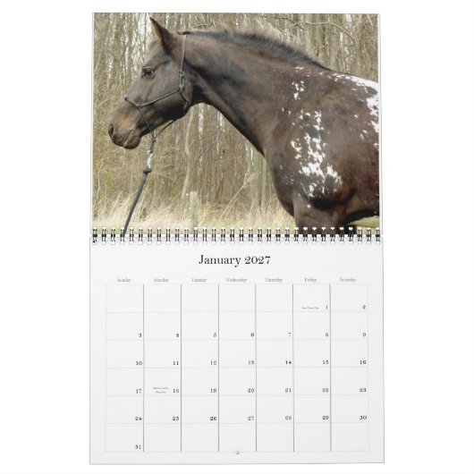 GOT SPOTS? BEROEP 2011 KALENDER (Jan 2027)