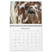 GOT SPOTS? BEROEP 2011 KALENDER (Feb 2027)