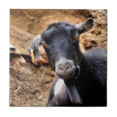 GOT TEGELTJE (Voorkant)