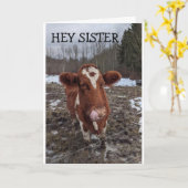 GOT THE MOOS (NEWS) HAPPY "BIRTHDAY" TO YOU KAART (Gele Bloem)