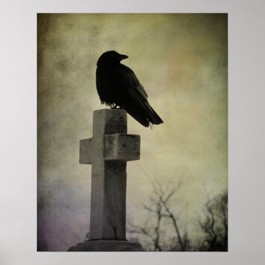 Goth CrowPoster Poster (Voorkant)