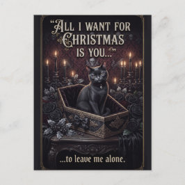 Goth Zwarte Kat in een Kist met Leuk Kerst Tekst Briefkaart