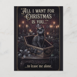 Goth Zwarte Kat in een Kist met Leuk Kerst Tekst Briefkaart