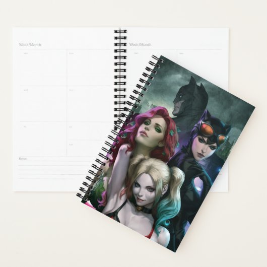 Gotham City Sirens #1000 Comic Cover Variant Planner (Display)