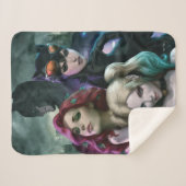 Gotham City Sirens #1000 Comic Cover Variant Sherpa Deken (Voorkant (horizontaal))