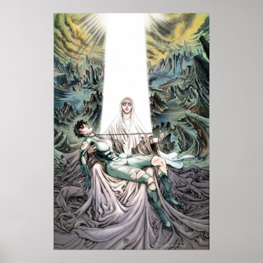 Gotham City Sirens Cv13 Poster (Voorkant)