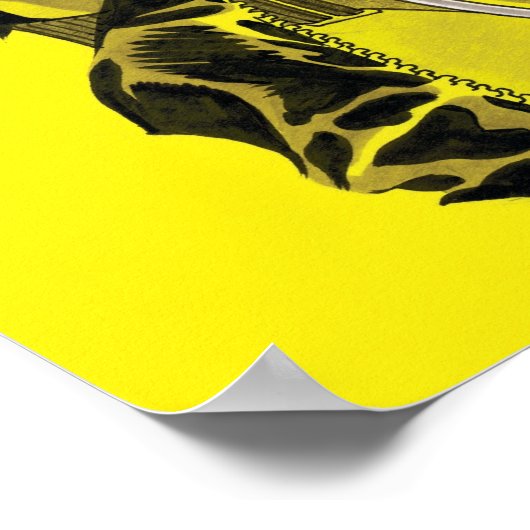 Gotham City Sirens Cv14 Poster (Hoek)