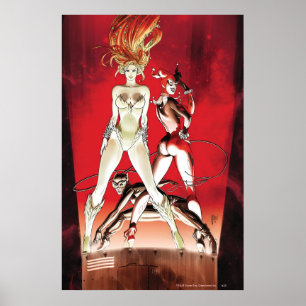 Gotham City Sirens Cv1.2e Poster