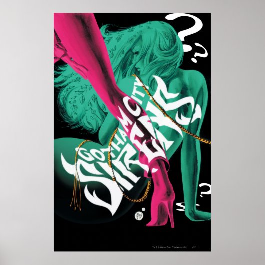 Gotham City Sirens Cv3 r2 Poster (Voorkant)