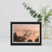 Gothic Bird Dramatic Sunset Tree Briefkaart (Staand voorkant)