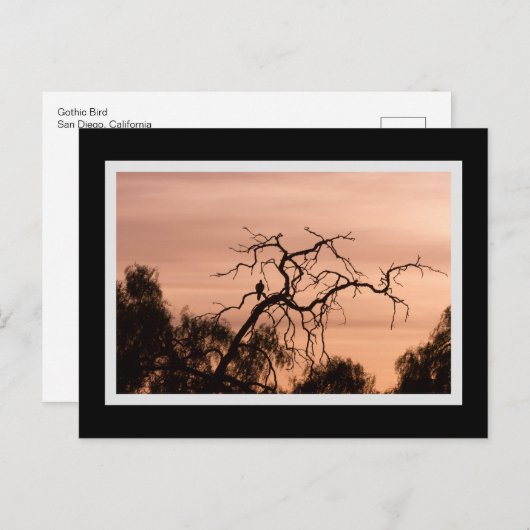 Gothic Bird Dramatic Sunset Tree Briefkaart (Voorkant / Achterkant)