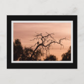 Gothic Bird Dramatic Sunset Tree Briefkaart (Voorkant)